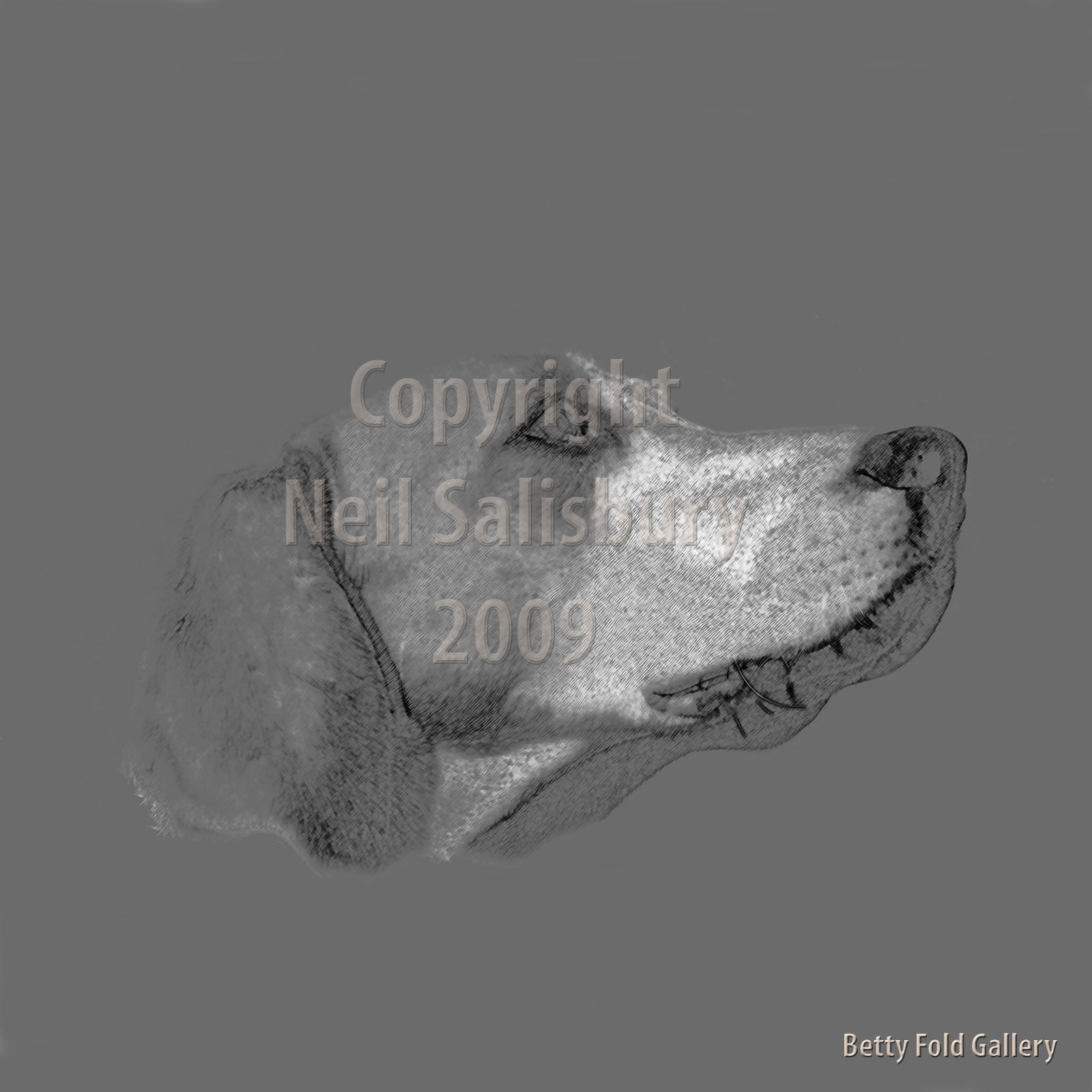 Limited edition hunting prints by Betty Fold Gallery
